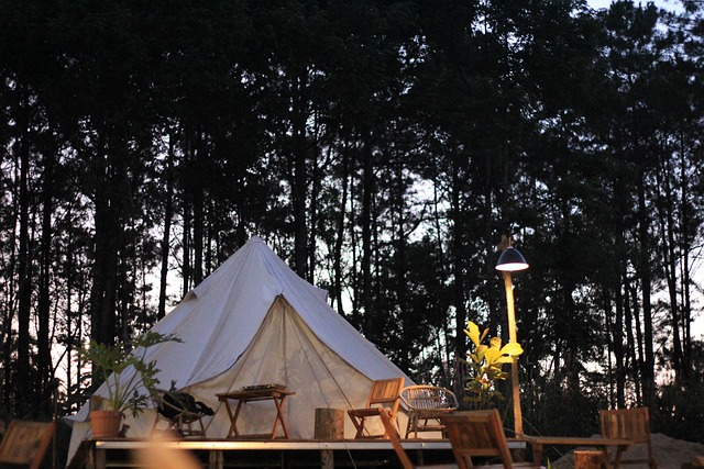 Une expérience de luxe : Tentes Safari pour le confort du camping