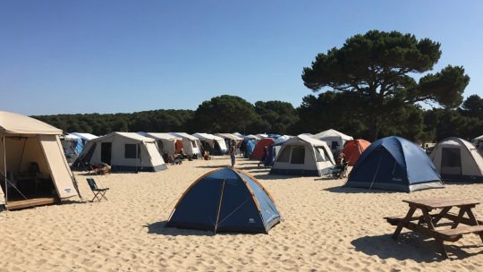 Que faire biscarrosse à deux pas du camping – slow village